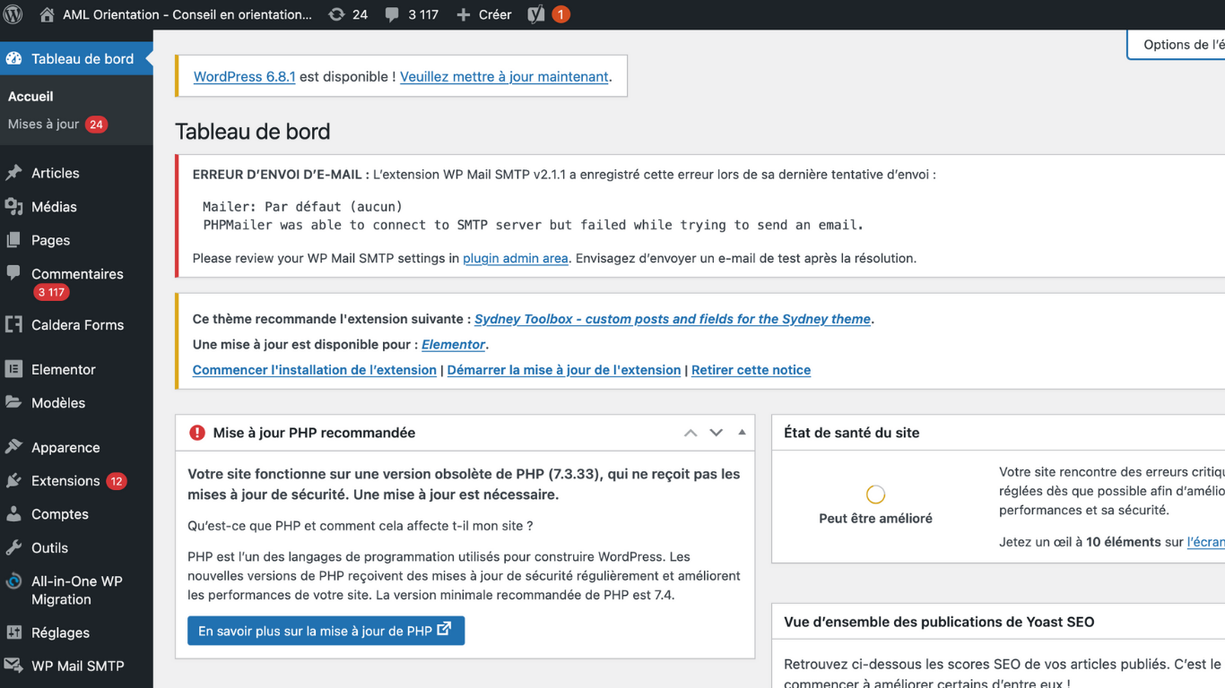 Tableau de bord WordPress d’AML Orientation affichant les mises à jour PHP, plugins et état de santé du site